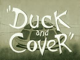 duckcover