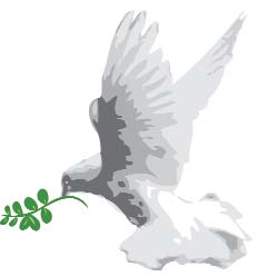 peace dove